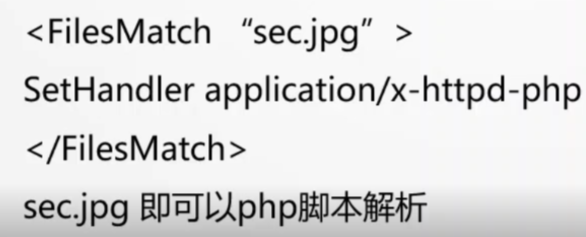 image-20250222114656780